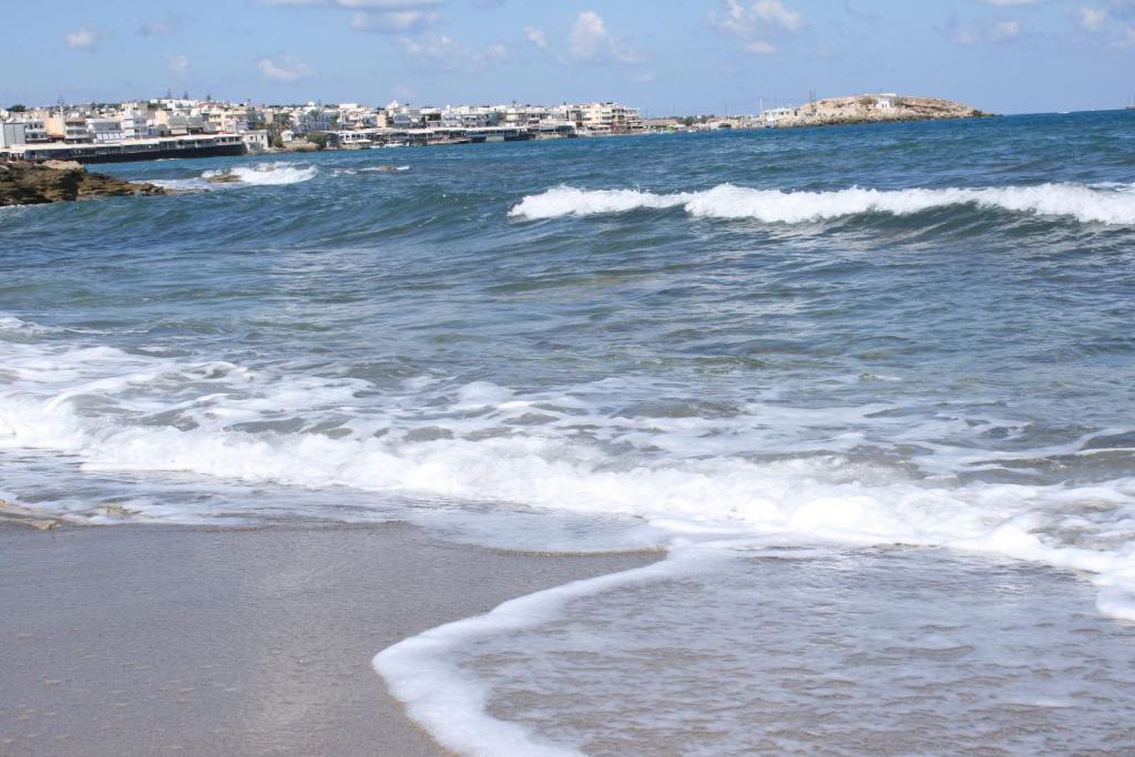Blue Bay Apartments Hersonissos (Crete) Quarto foto